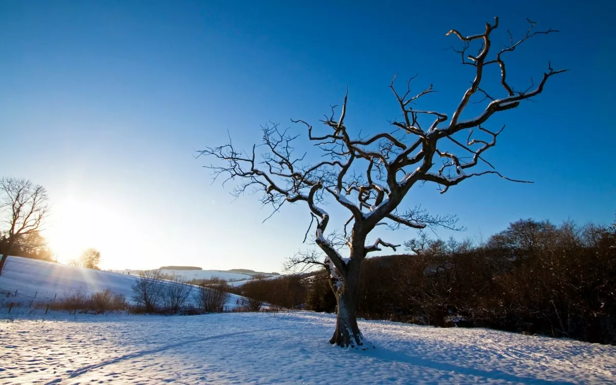 The Great Yorkshire Outdoors &#8211; Winter Walks Near Your New Build Home
